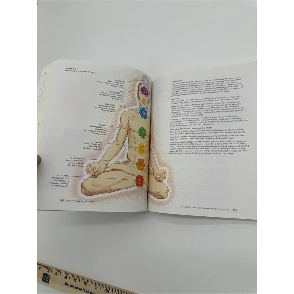 The Subtle Body Encyclopedia of Your Energetic Anatomy Cyndi Dale Paperback 2009